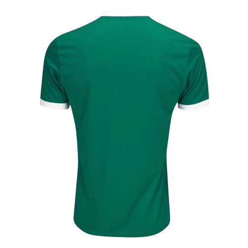 Camisa Palmeiras I 25/26 Torcedor Puma - Verde